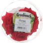 FLEUR COMESTIBLE ROSE RAVIER